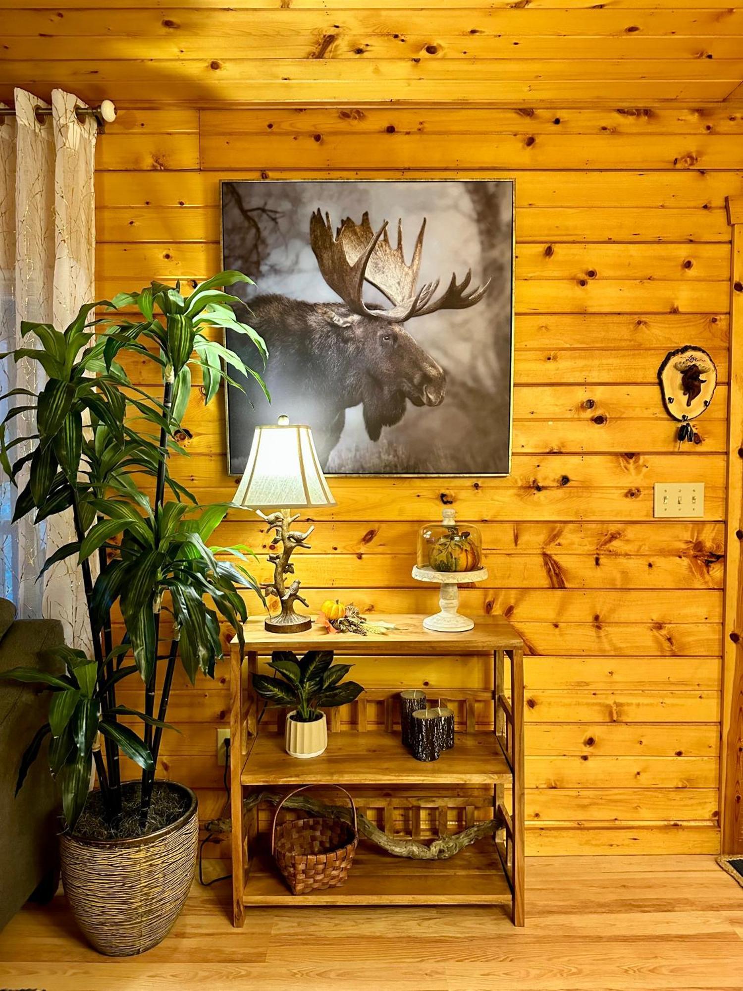 Cozy Cabin In Red River Gorge Rogers Exterior photo